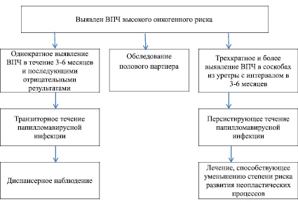 Схема лечения впч у мужчин - Jks-k.ru